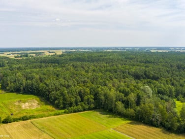 Działka rolna Borki sprzedam