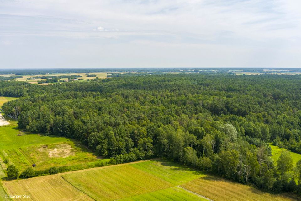 Działka rolna Borki sprzedam