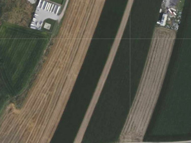 Działka budowlana Rakoniewice sprzedam