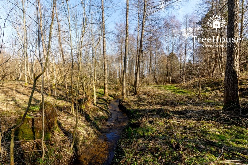 Działka Nowa Wieś Wielka