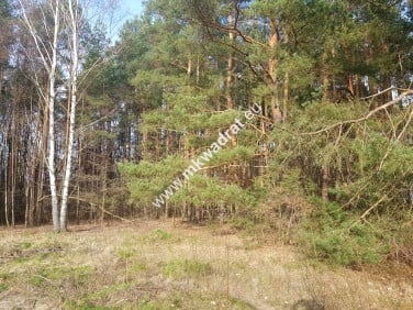 Działka budowlana Bieniewiec