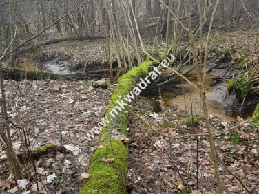 Działka Bieniewiec
