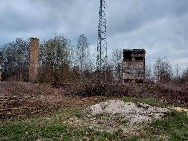 Działka inwestycyjna Borowina