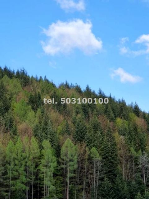 Mieszkanie Krynica-Zdrój