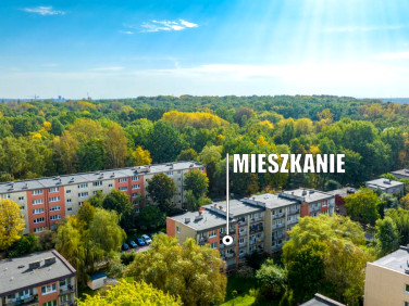 Mieszkanie Katowice