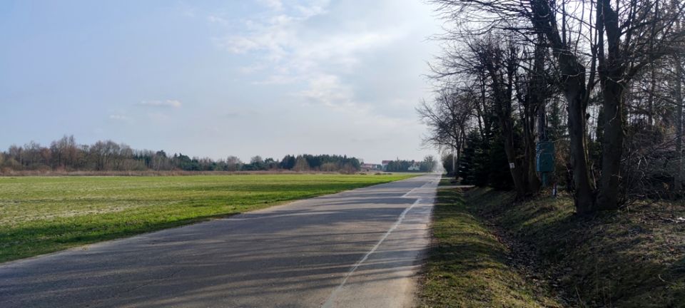 Zdjęcie 3