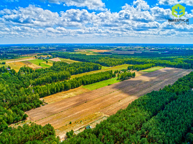 Działka przy lesie