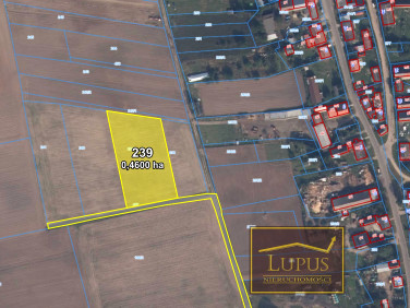 Działka budowlana Słodkowo