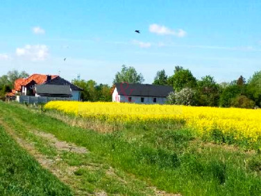 Działka budowlana Wiślinka