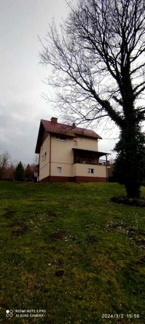 Dom Mniszków