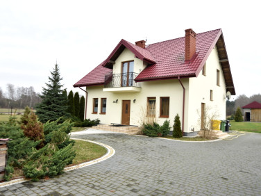 Dom Grzybów