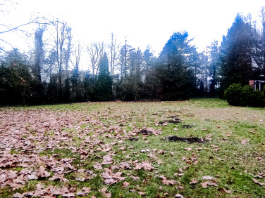 Pusta działka Katowice