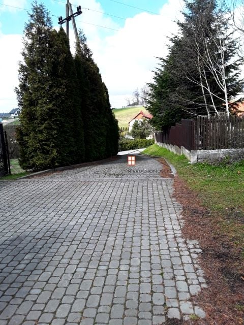 Zdjęcie 3