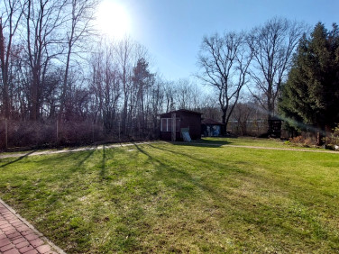 Działka usługowa wynajmę