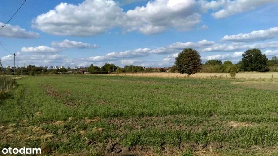 Działka inna Gorzów Wielkopolski