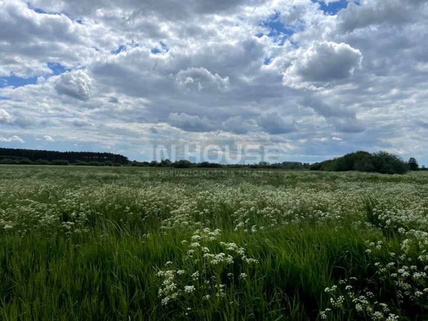 Działka rolna w Komarowie Komarowo