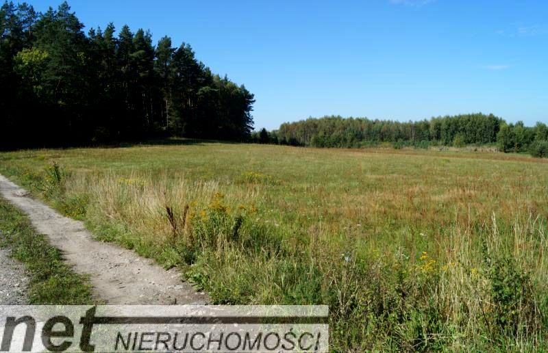Działka inna Kleszczewo