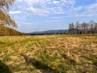 Działka budowlana Giebułtówek