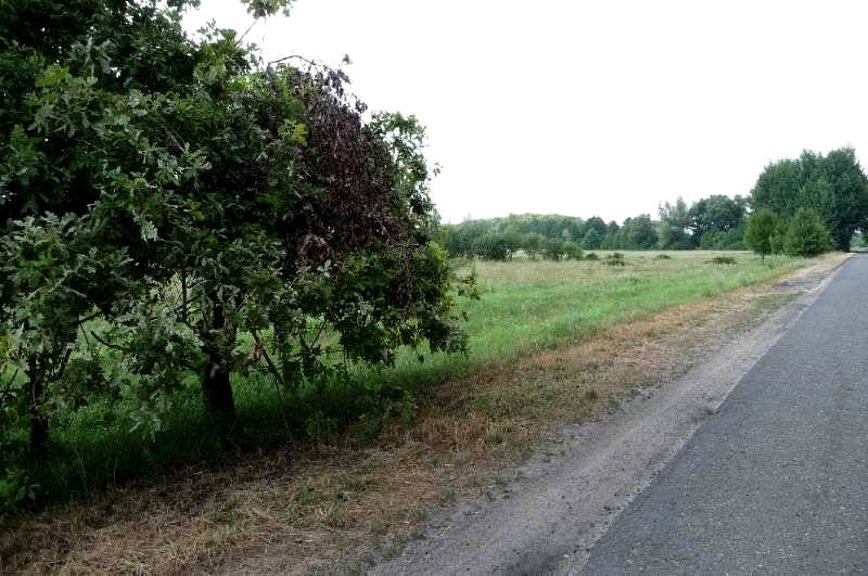 Działka budowlana Zielona Góra