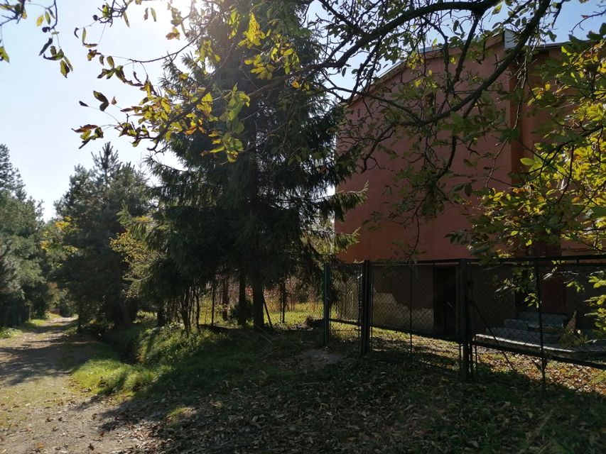Dom Przybędza