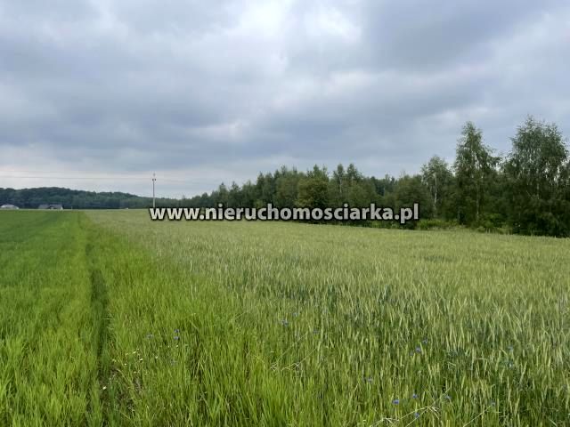 Działka budowlano-rolna Rogów