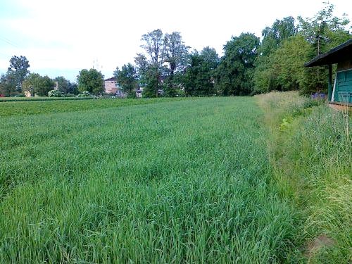 Działka budowlana Oświęcim