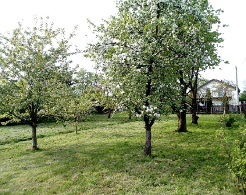Działka budowlana Gliwice