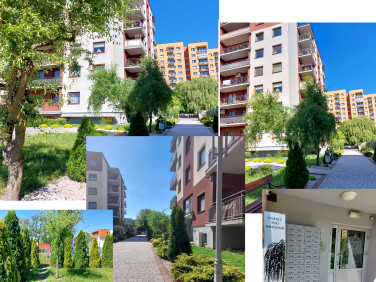 Mieszkanie Dąbrowa Górnicza sprzedaż