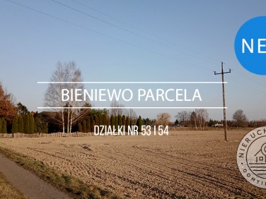 Działka siedliskowa Bieniewo-Parcela