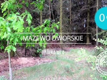 Działka rolna Mazewo Dworskie"A"