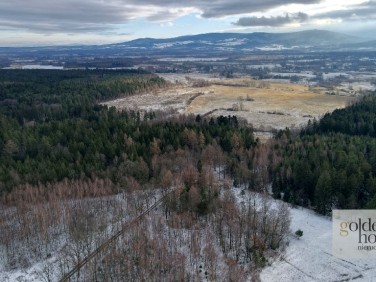 Działka budowlana Leśna sprzedam