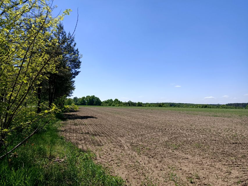 Działka siedliskowa Trzebule