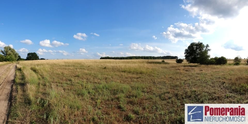 Zdjęcie 3