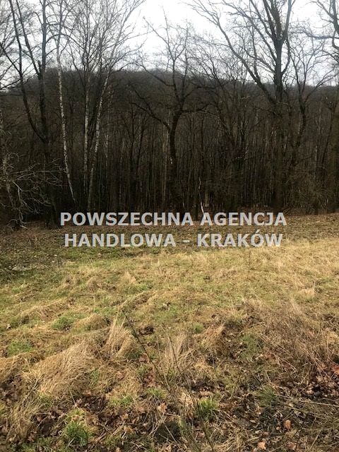 Zdjęcie 3