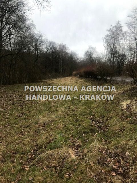 Zdjęcie 2