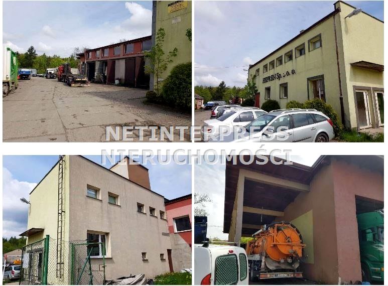 Budynek użytkowy Burchardztwo sprzedaż