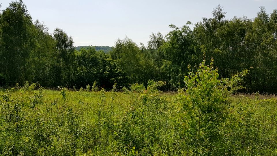 Działka budowlana Kielnarowa