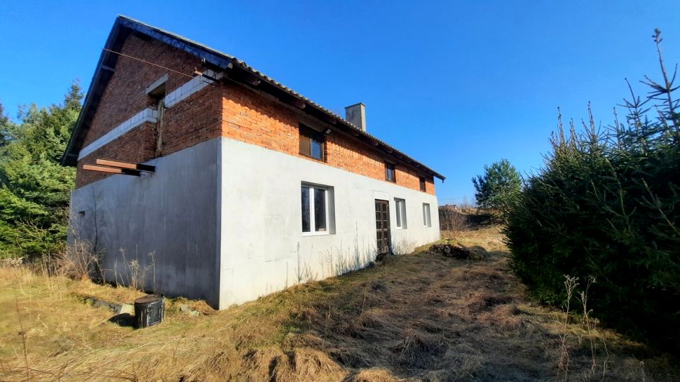 Zdjęcie 2