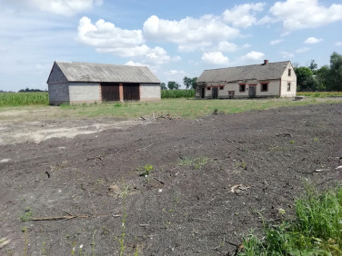 Działka budowlano-rolna Młynik