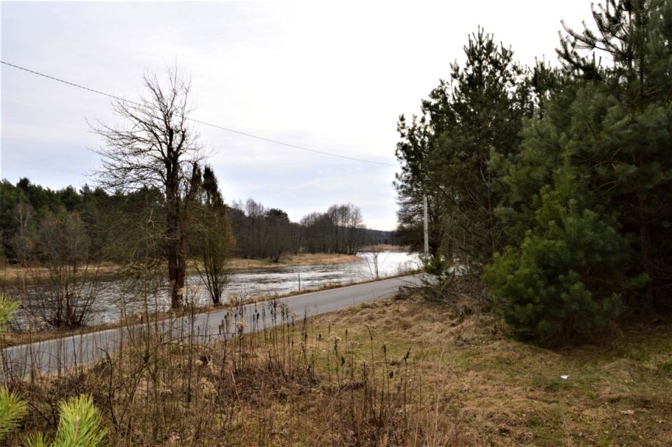 Działka inna Żądłowice