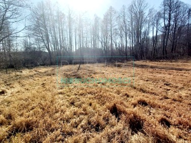 Działka budowlana Żabia Wola