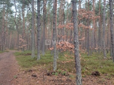 Działka leśna Wysoka Lelowska