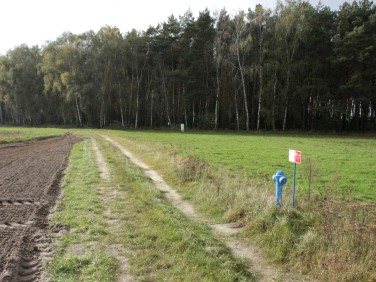 Działka budowlana Radzyny sprzedam