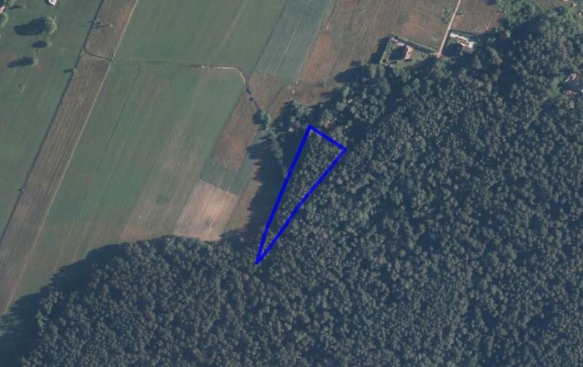 Sprzedam działkę 3 700 m² Zabrodzie
