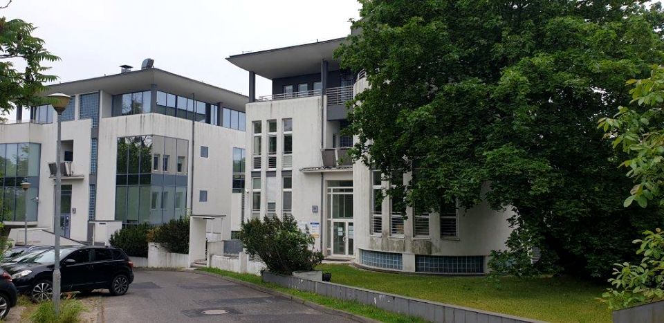 Lokal Poznań wynajem