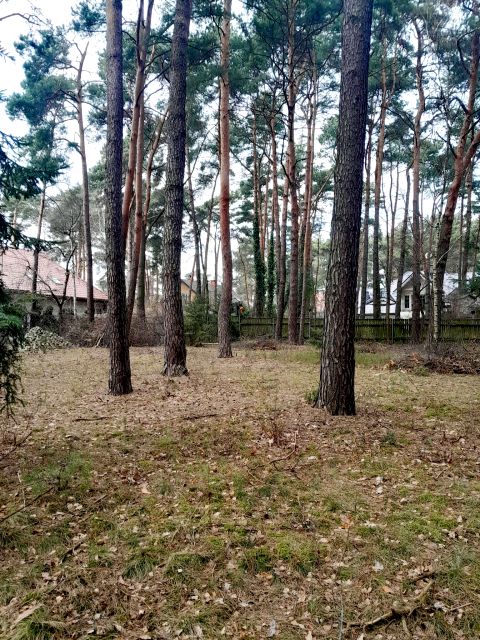Działka budowlana Czarnów