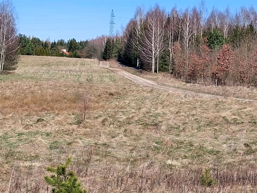 Działka budowlano-rolna Żabi Róg