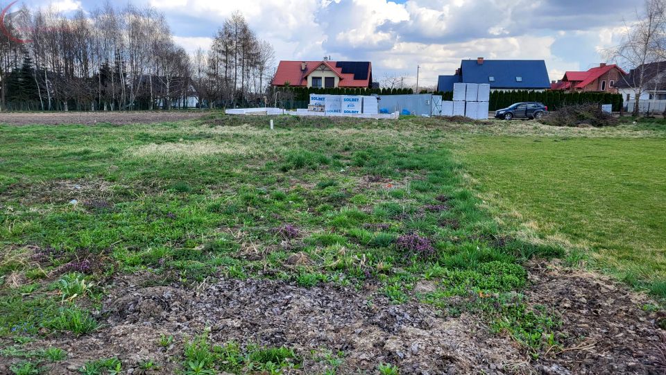 Działka Proszowice