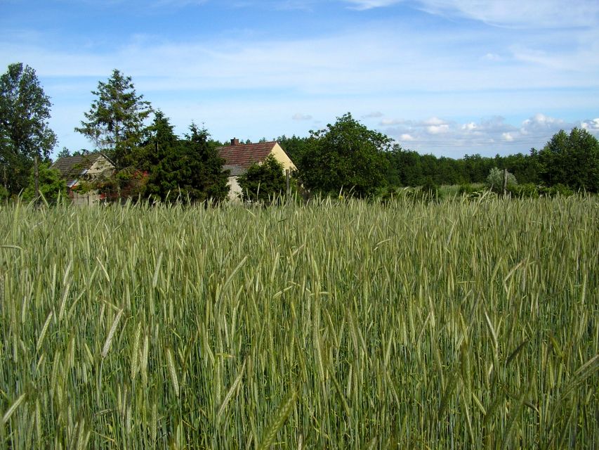 Działka budowlana Chrząszczewo sprzedam