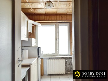 Mieszkanie przy lesie